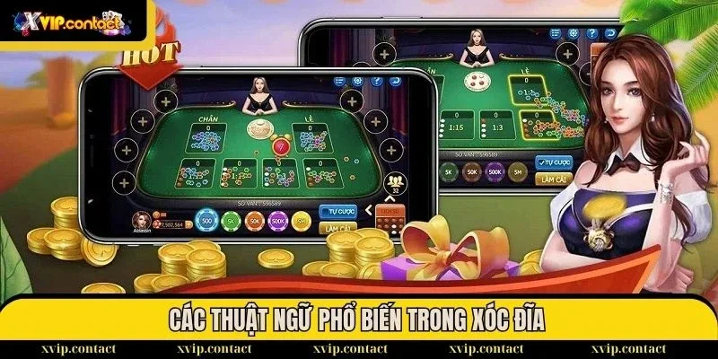 Tổng hợp các thuật ngữ trong Tài Xỉu/Xóc Đĩa tại VIP69 2 Trò chơi xóc đĩa bao gồm các thuật ngữ đa dạng và thú vị