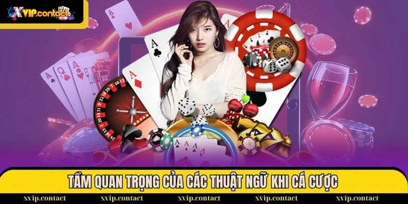 Tổng hợp các thuật ngữ trong Tài Xỉu/Xóc Đĩa tại VIP69 1 Thuật ngữ có tầm quan trọng rất lớn đối với người chơi khi cá cược