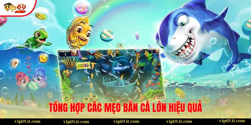 Hướng Dẫn Cách Bắn Cá Lớn Chỉ Với Vài Viên Đạn Hiệu Quả Nhất 2025 2 Tổng hợp các cách bắn cá lớn hiệu quả